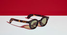 Max Pittion Panto in Dark Tortoise MXPL-005E-T