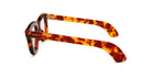 Max Pittion Wellington in Blonde Tortoise MXPL-003D-T-GRAD