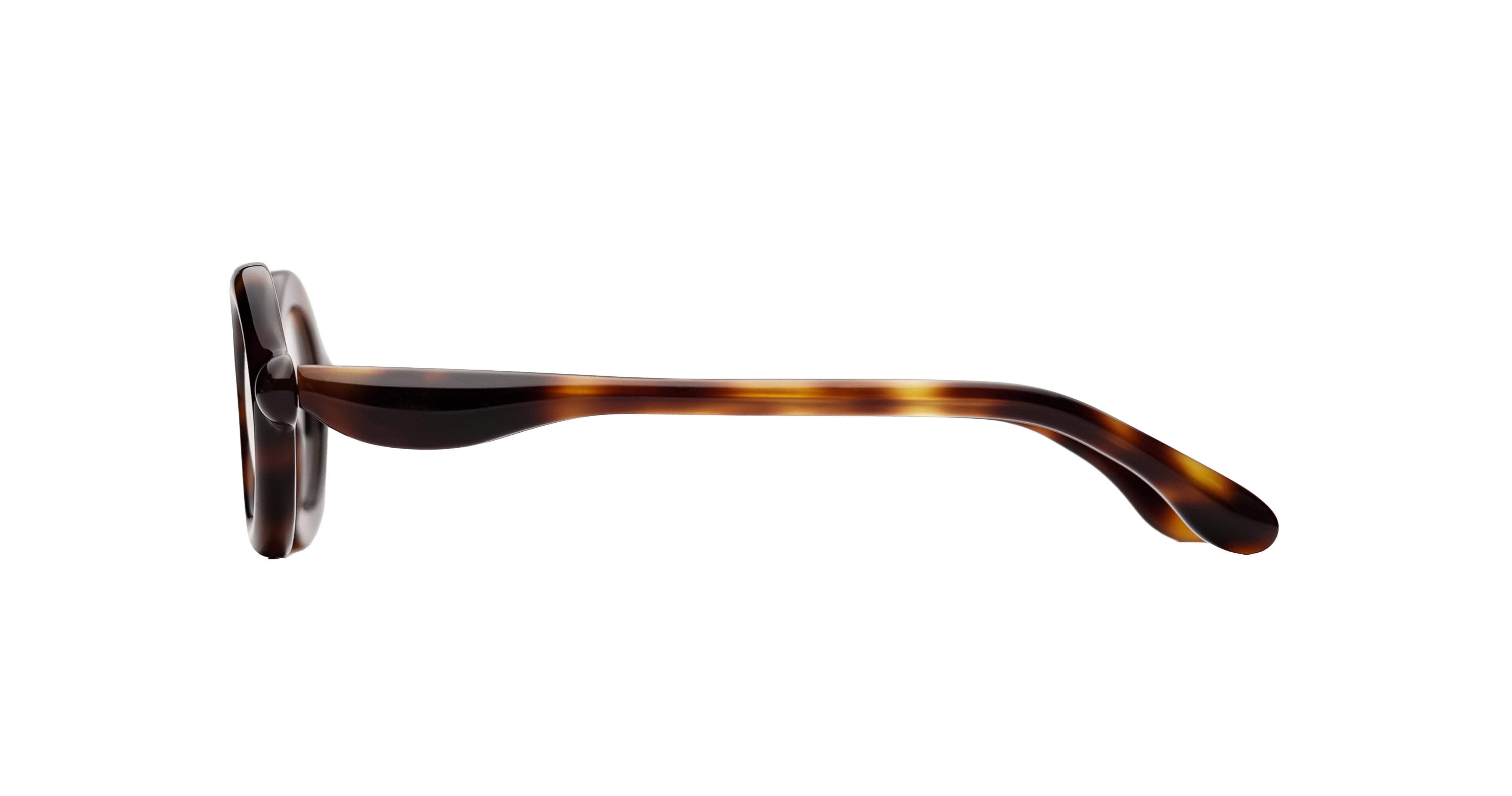 Paloceras R2 oval optical eyeglasses in Havana Gold, a translucent dark tortoise acetate with warm amber and chestnut tones, side view