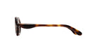 Paloceras R2 oval optical eyeglasses in Havana Gold, a translucent dark tortoise acetate with warm amber and chestnut tones, side view