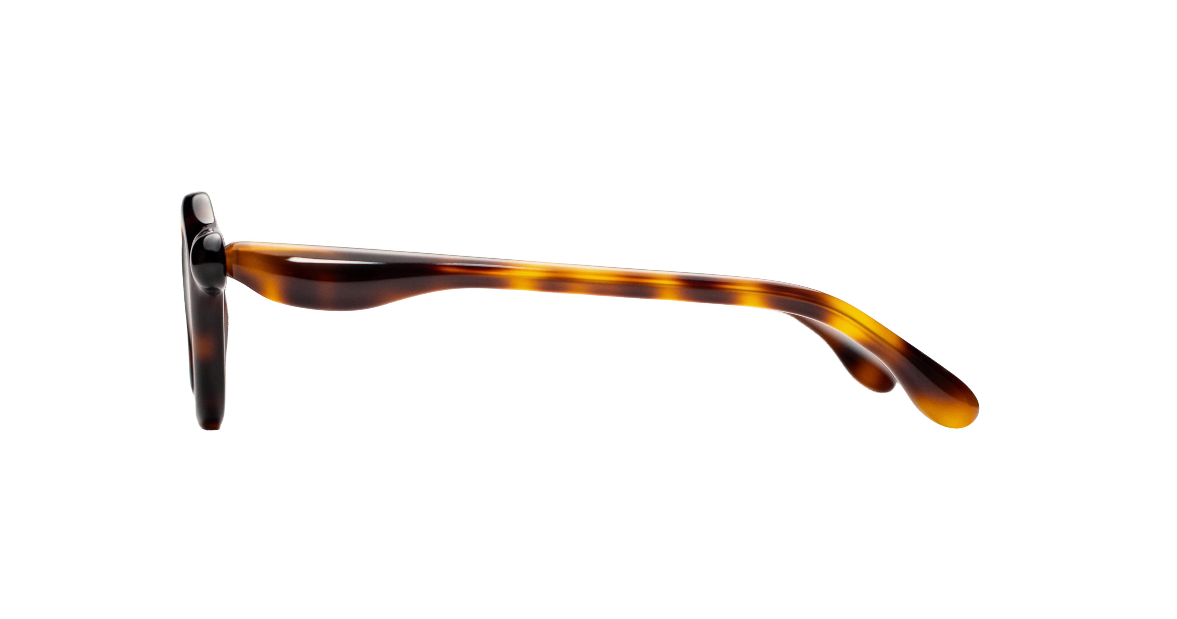 Paloceras Nouvelle Fiction A2 Havana Gold sunglasses with a sculpted tortoiseshell frame and slim curved temples, side view