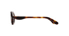Paloceras Nouvelle Fiction R2 Havana Gold sunglasses in a dark brown tortoiseshell frame with warm amber highlights and slim curved temples, side view