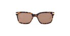 Thom Browne 701 tortoiseshell rectangular sunglasses with brown lenses, front view.