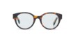 Off-White Optical Style 2 in Havana OERJ022C99PLA0016000